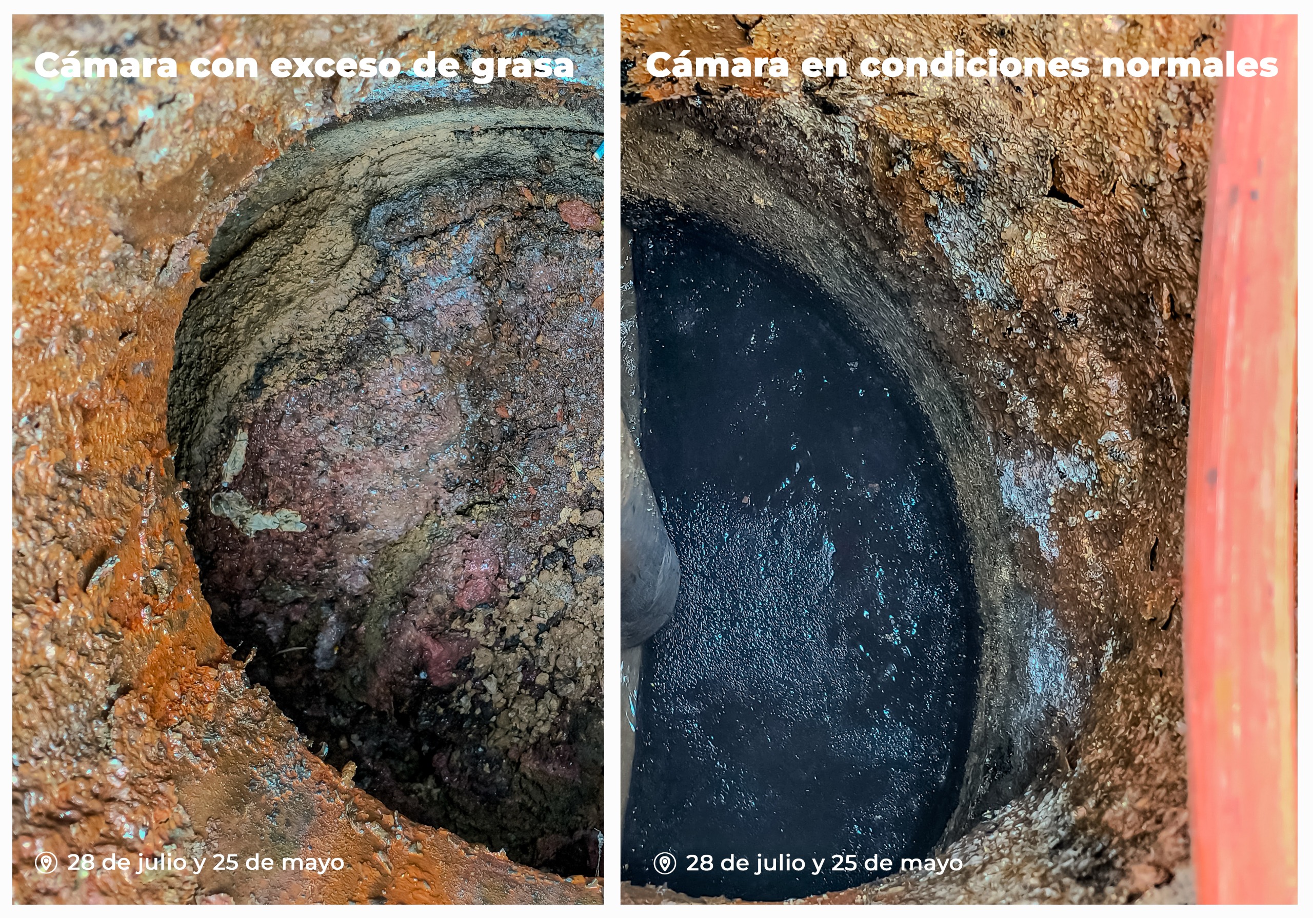 Graves obstrucciones cloacales en la zona céntrica