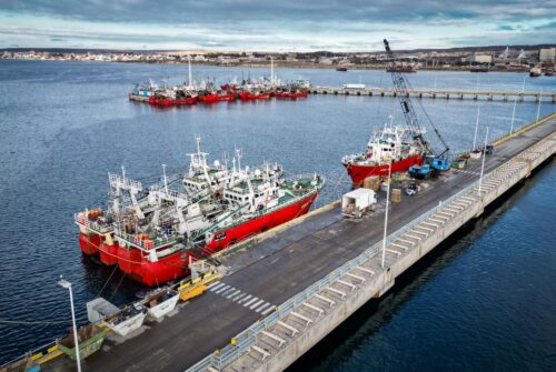 Récord nacional: Chubut alcanzó el primer puesto de descargas pesqueras y superó a Buenos Aires