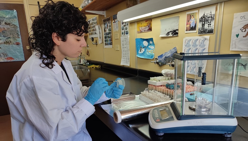 Especialistas del CONICET desarrollaron una nueva herramienta para detectar el origen de organismos en el Mar Argentino