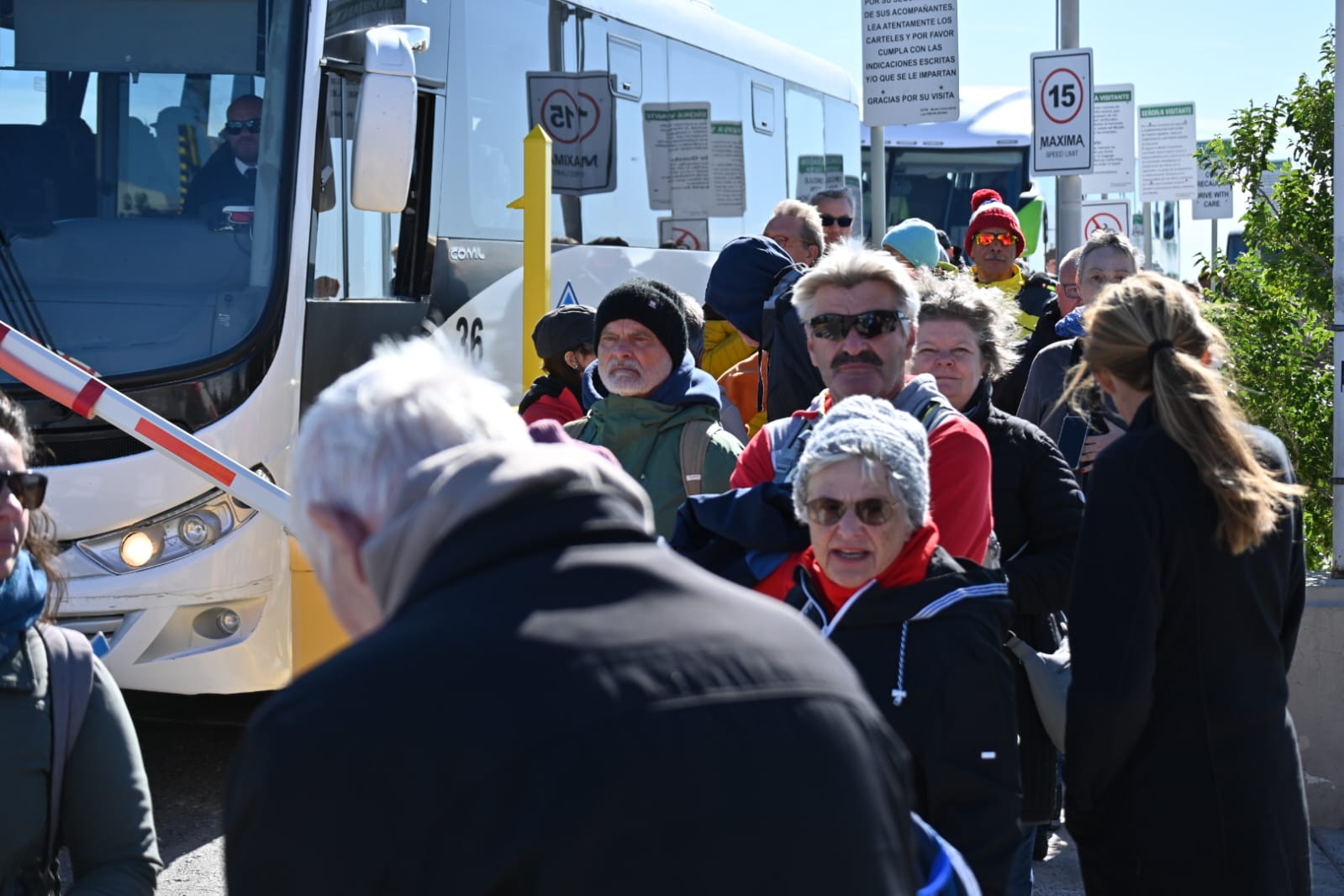 Temporada de cruceros: destacan la organización en la atención a los turistas en cada arribo