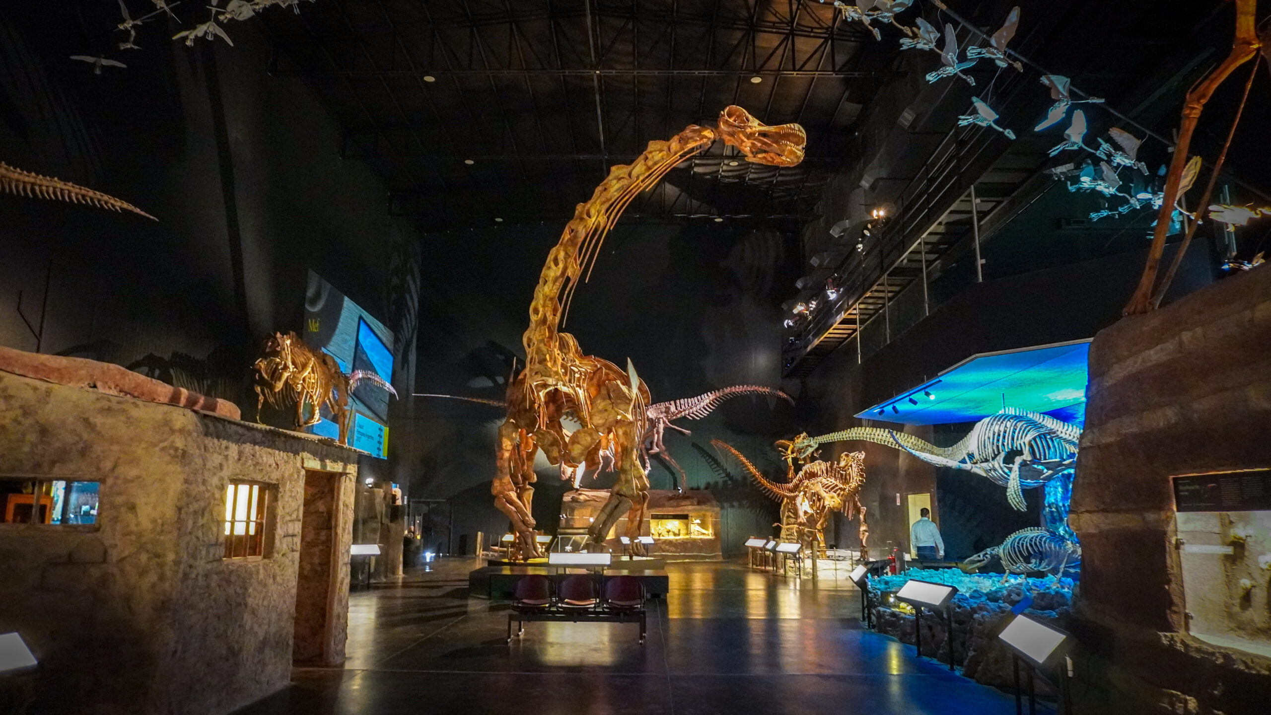 El Gobierno provincial acompaña el fortalecimiento internacional del Museo Paleontológico «Egidio Feruglio»