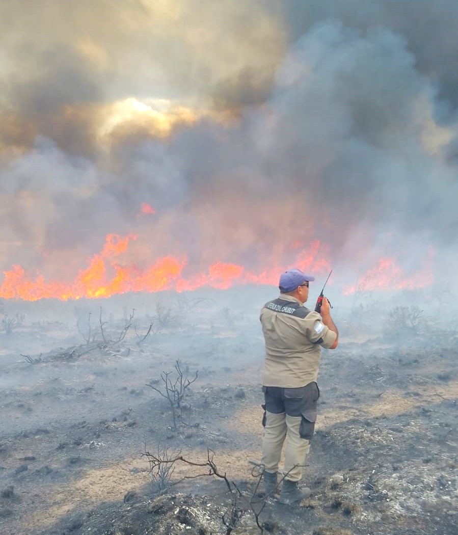Provincia controló un incendio de pastizales en la zona norte de Puerto Madryn