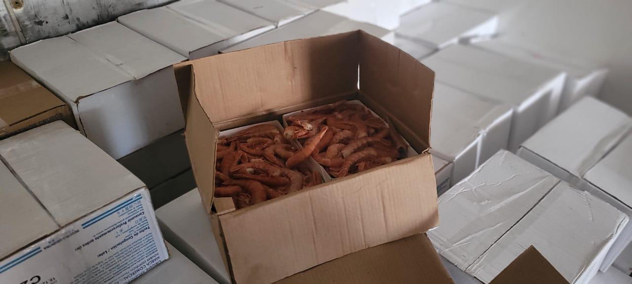Provincia decomisó 12.000 kilos de langostinos que eran transportados de forma ilegal