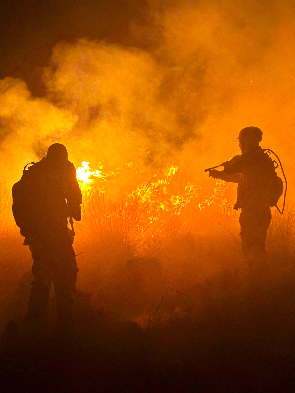 Emergencia controlada: Chubut actúa con rapidez ante el incendio en Bahía Cracker