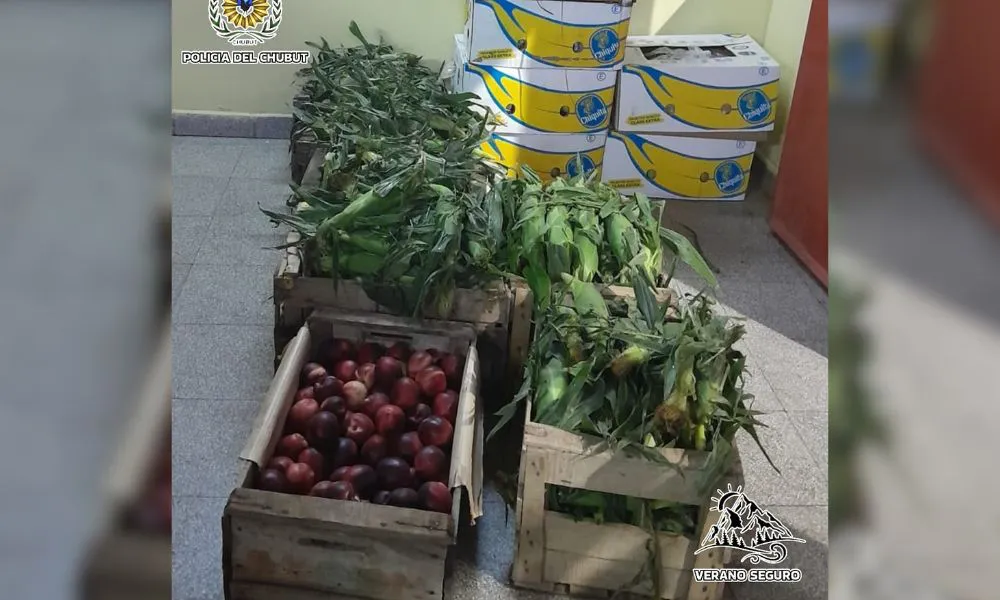 Secuestran un camión con carga ilegal de frutas y verduras