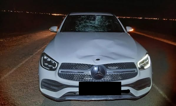 Sofía Arnoldi reconocerá su culpabilidad y se realizará juicio abreviado