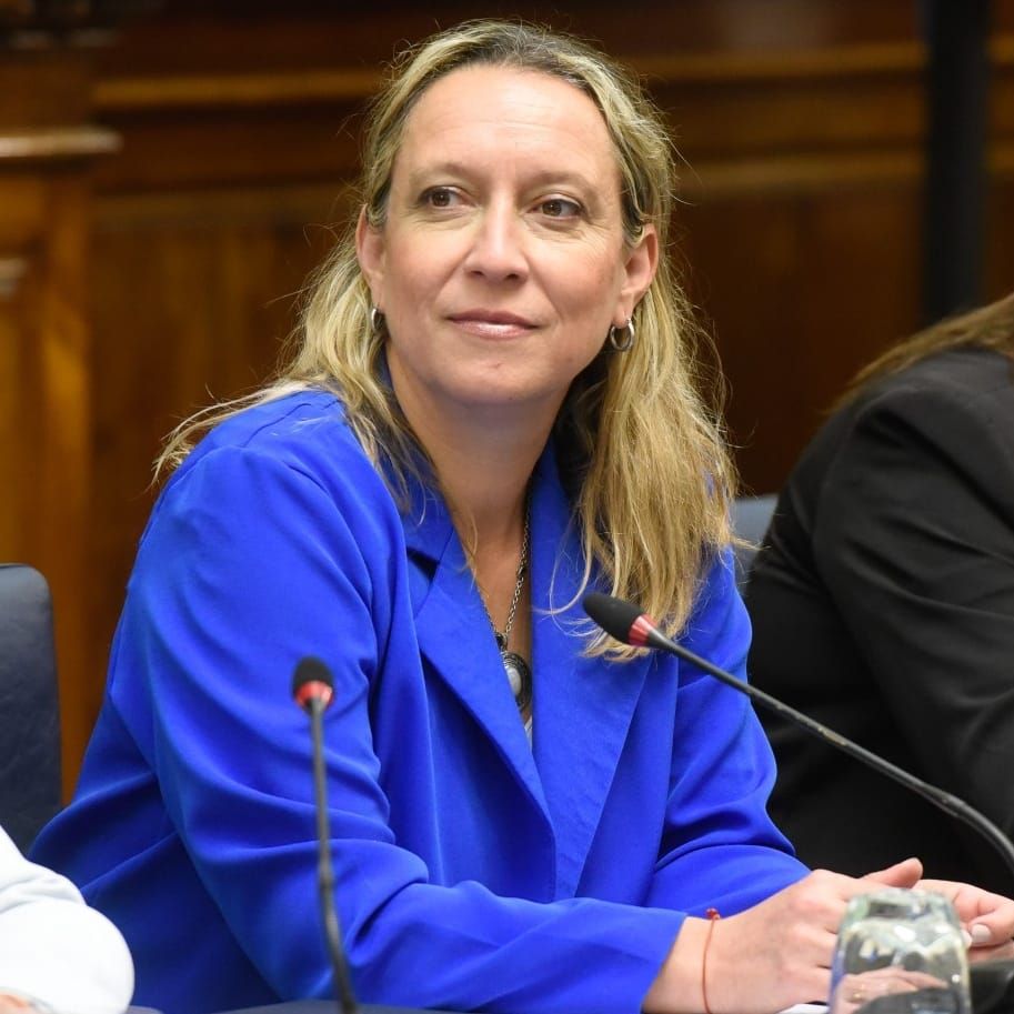 Alianiello cuestionó la falta de presupuesto nacional