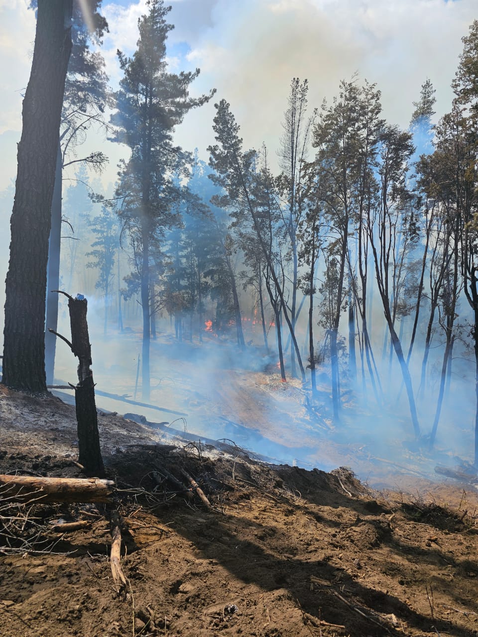 Chubut refuerza operativos ante los incendios intencionales en la Cordillera