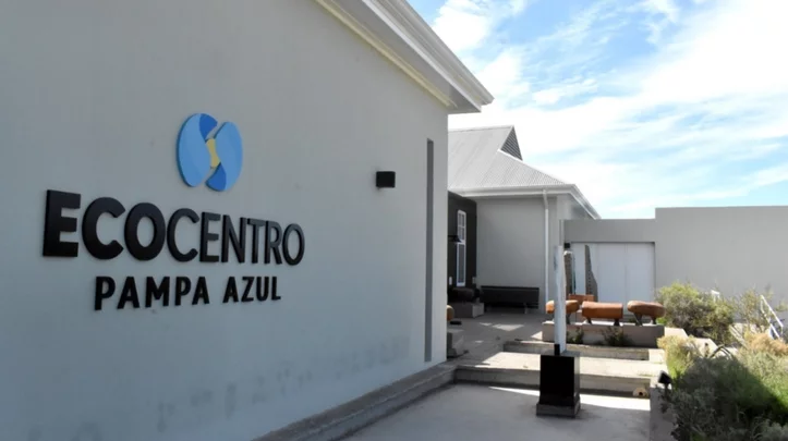 «Volverse Azul»: el programa educativo que invita a las escuelas de Chubut a sumergirse en el océano