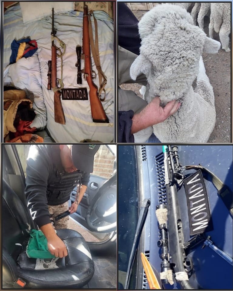 Policía recupera animales robados y secuestra armas en allanamiento en Gan Gan