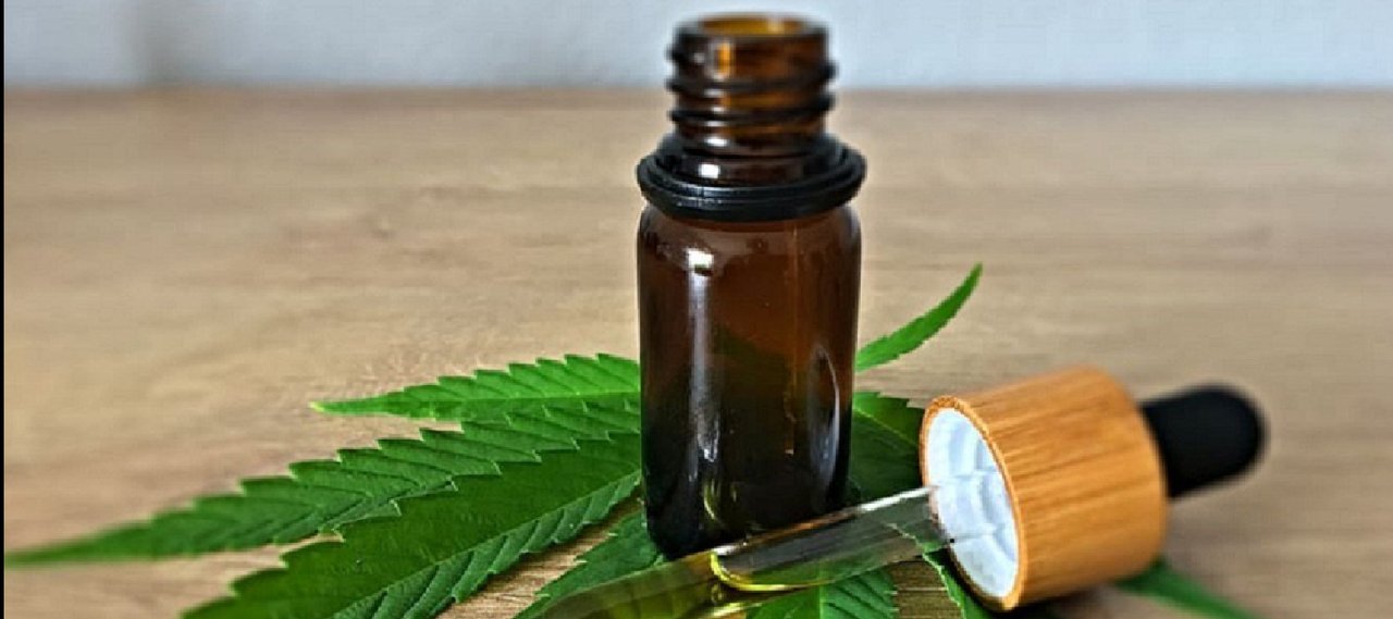 A un año de su aprobación, la Ley Salomé sigue sin reglamentarse y crece la preocupación