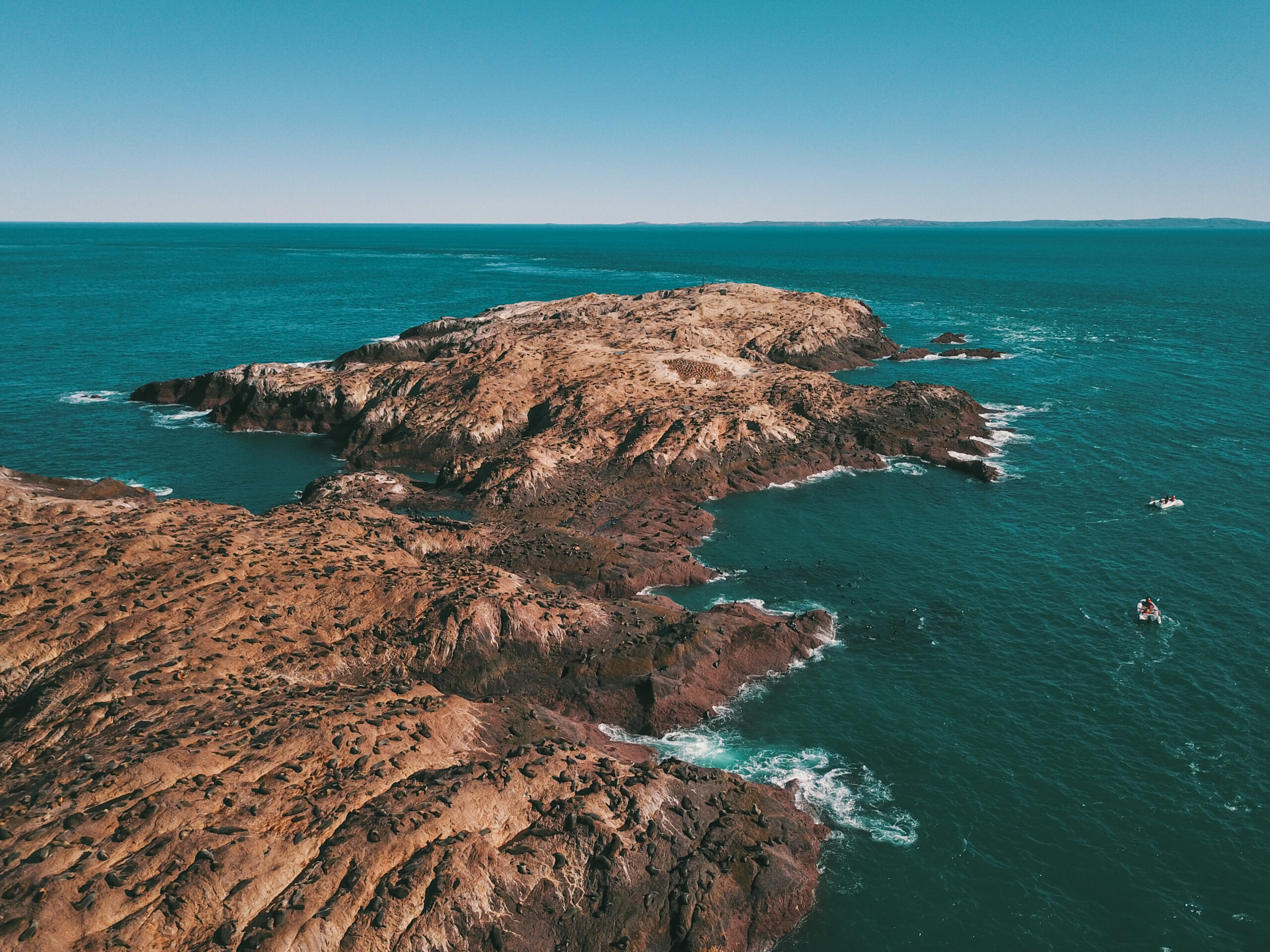Cómo es la nueva Área Natural Protegida: el Parque Provincial Patagonia Azul