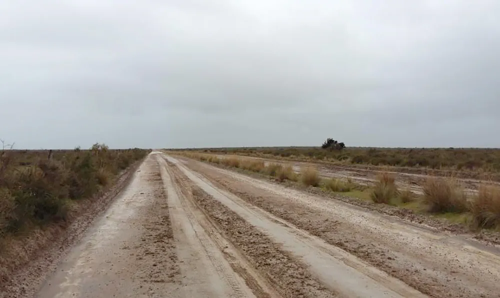 Cierran rutas internas de Península Valdés por intensas lluvias y caminos anegados