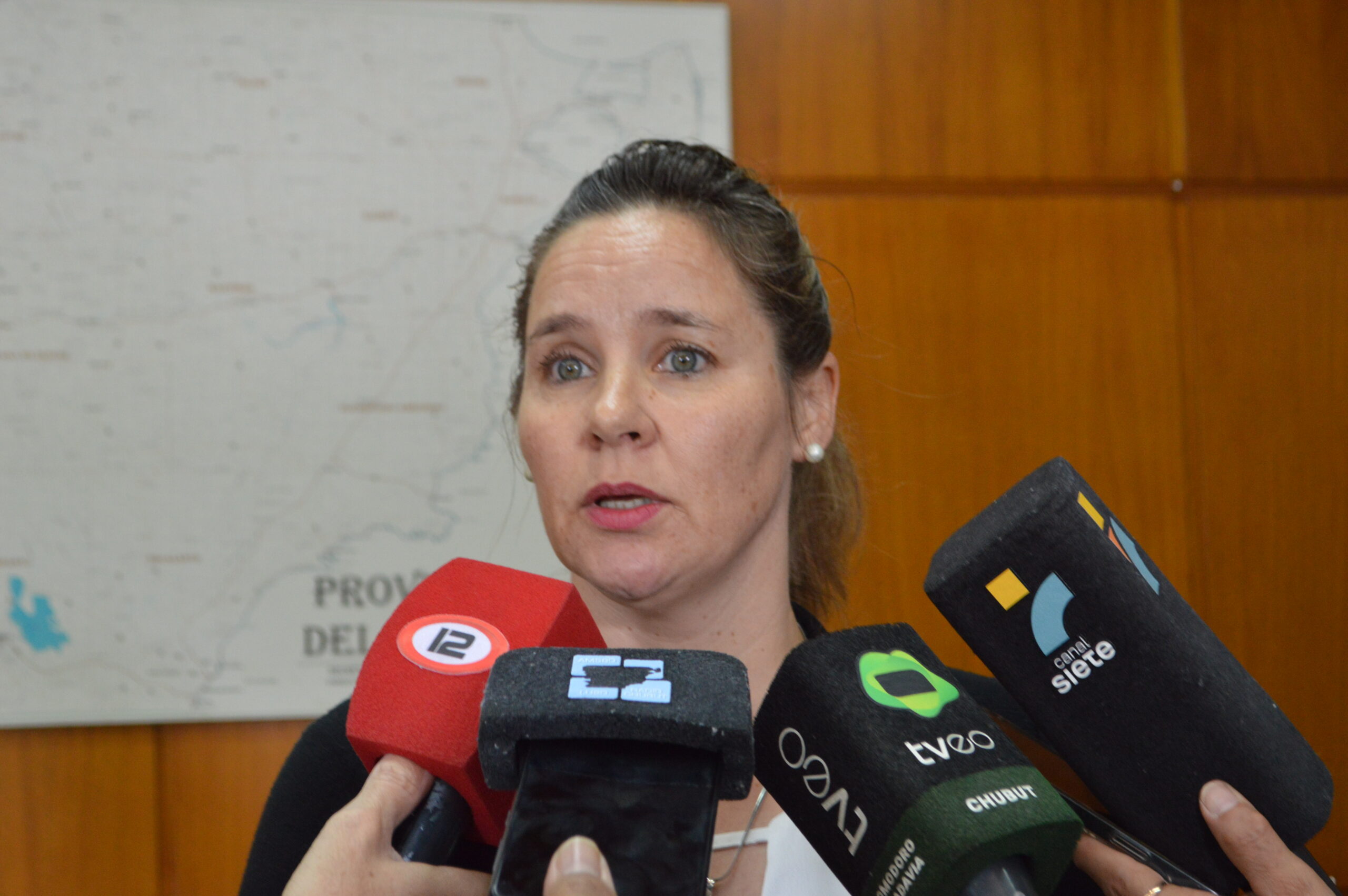 Provincia y Municipio avanzan en la regularización de los parques industriales en Puerto Madryn