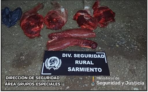 Decomisaron carne de guanaco cazado ilegalmente