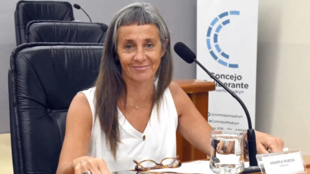 Proponen postergar el pago de la luz para familias electrointensivas sin red de gas