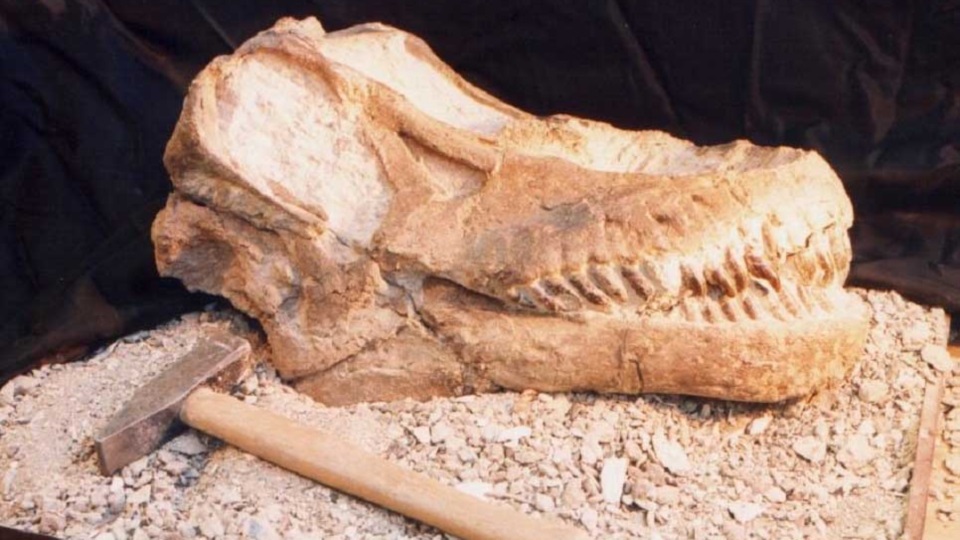 El CENPAT inaugura su ciclo de charlas con un conversatorio sobre dinosaurios y ciencia ficción