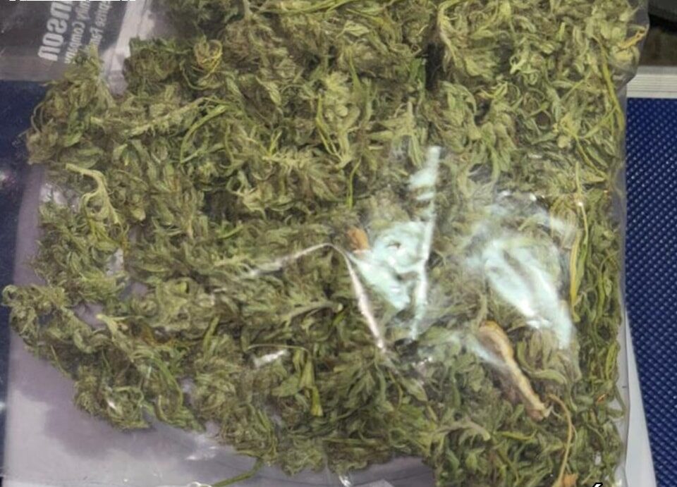 Interceptan a motociclista sin licencia y con marihuana