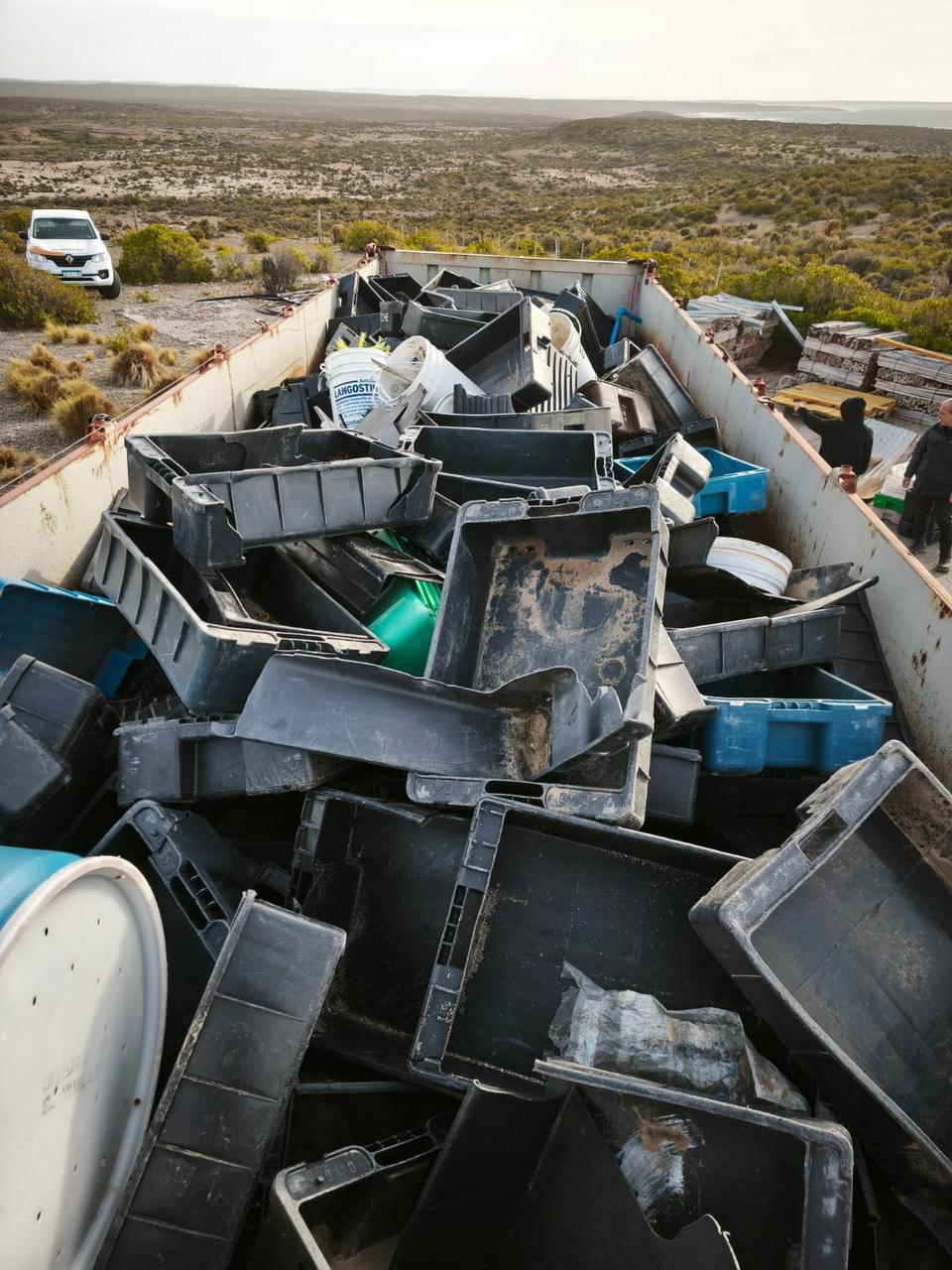 Provincia realizó tareas de limpieza en Punta Tombo