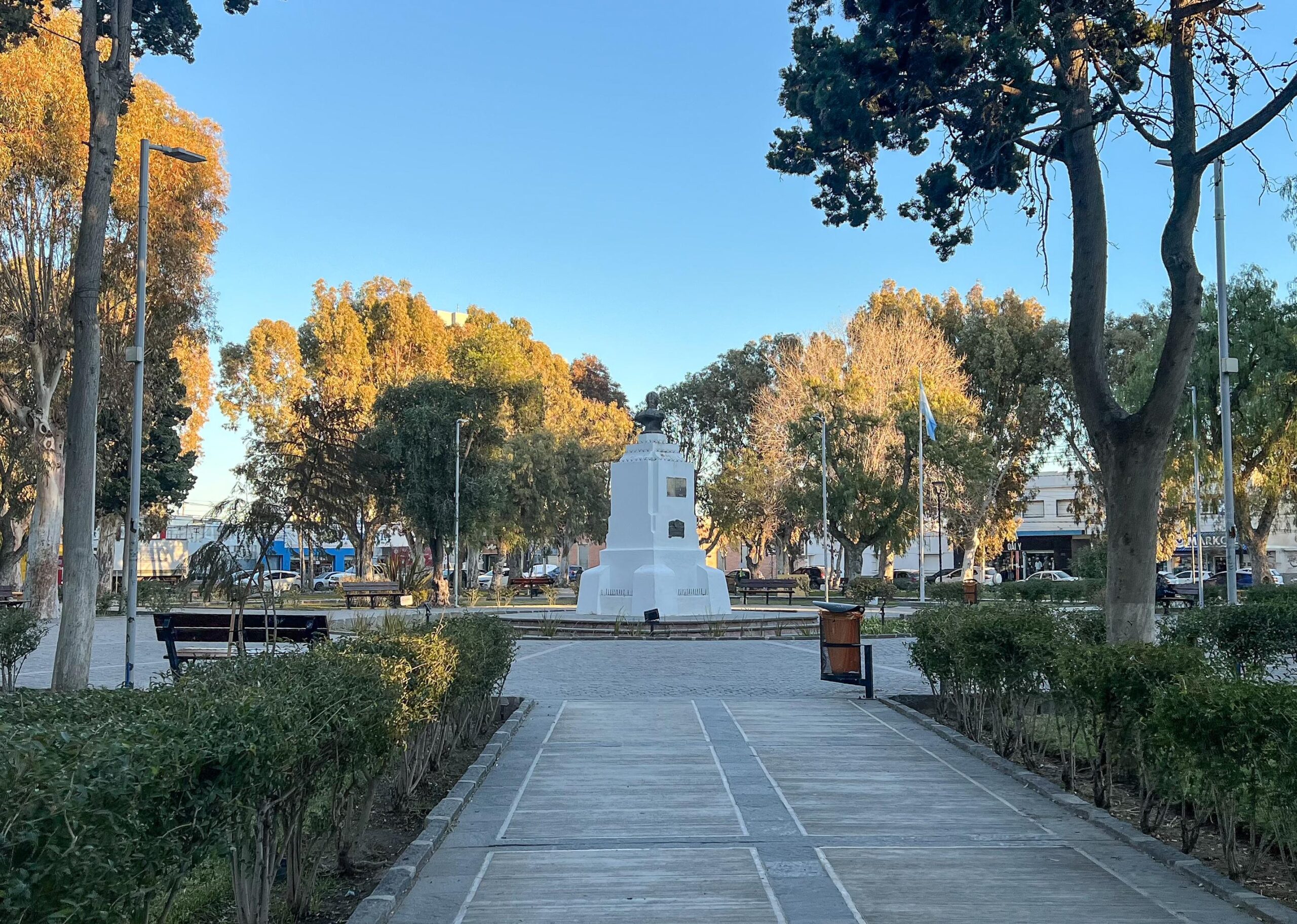 Realizarán tareas de poda en la plaza San Martín