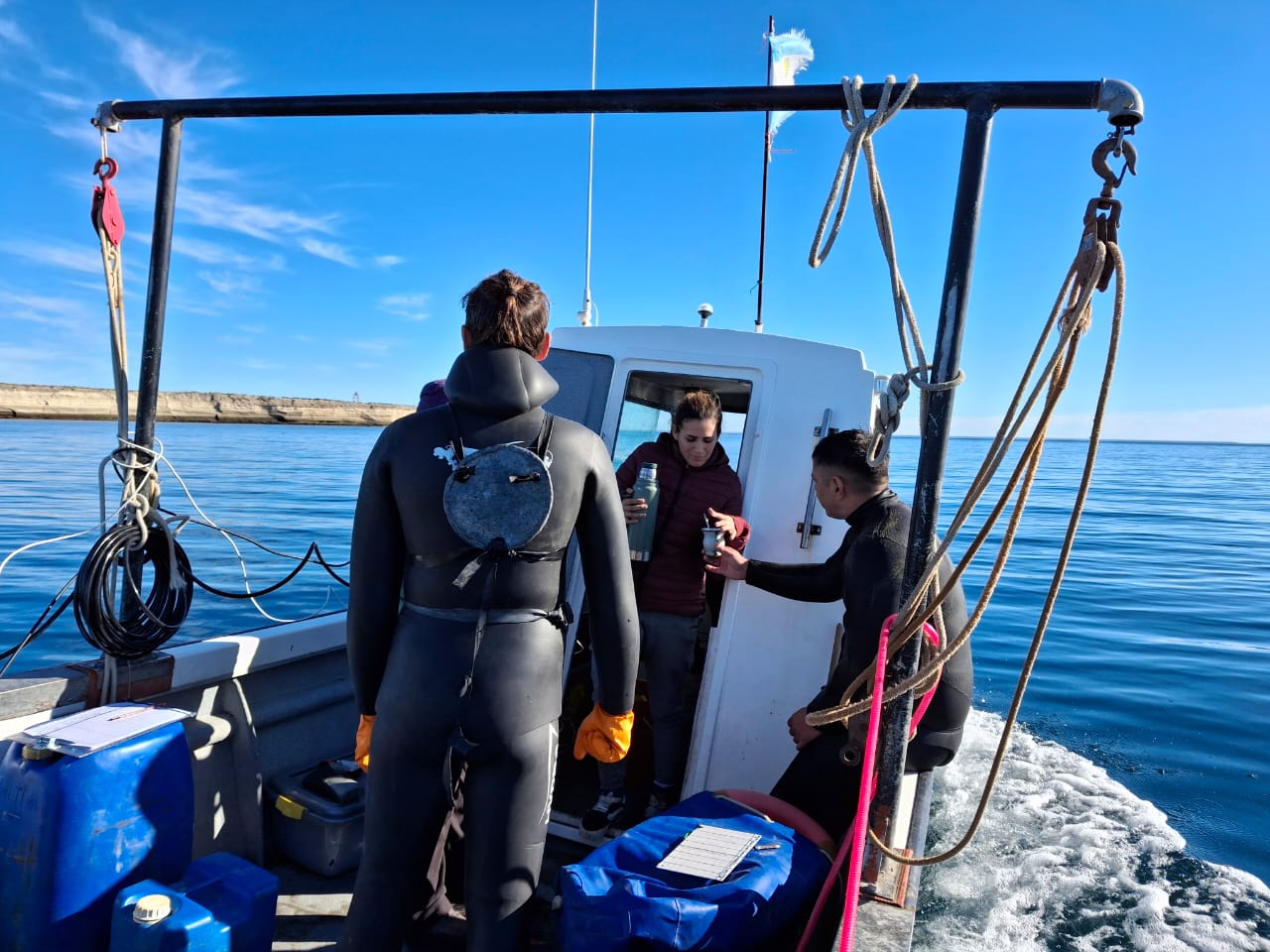 Presentaron los resultados de la prospección de vieira tehuelche en el golfo San José