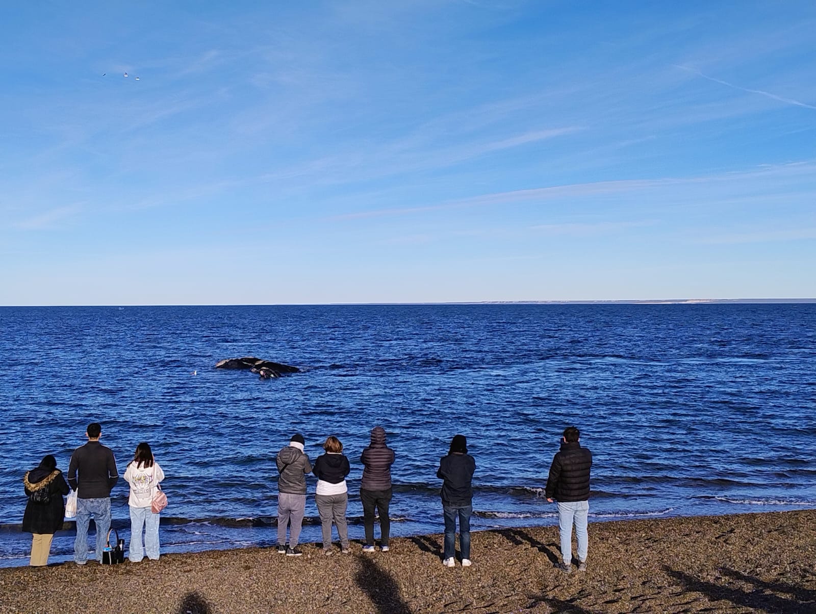 Culminaron las salidas gratuitas a El Doradillo con alta participación de vecinos