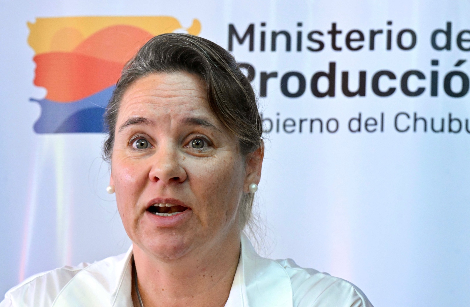 Provincia trabaja en la mejora del agua y ambiente de la Laguna Cacique Chiquichano de Trelew