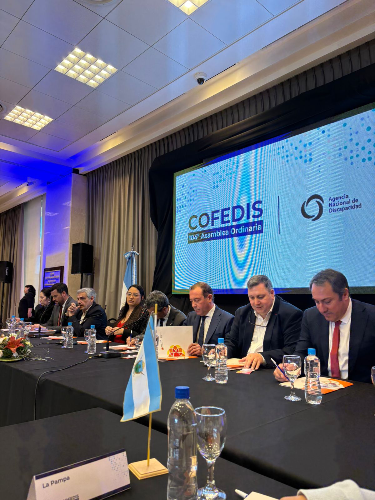 Chubut participó de la reunión del Consejo Federal de Discapacidad