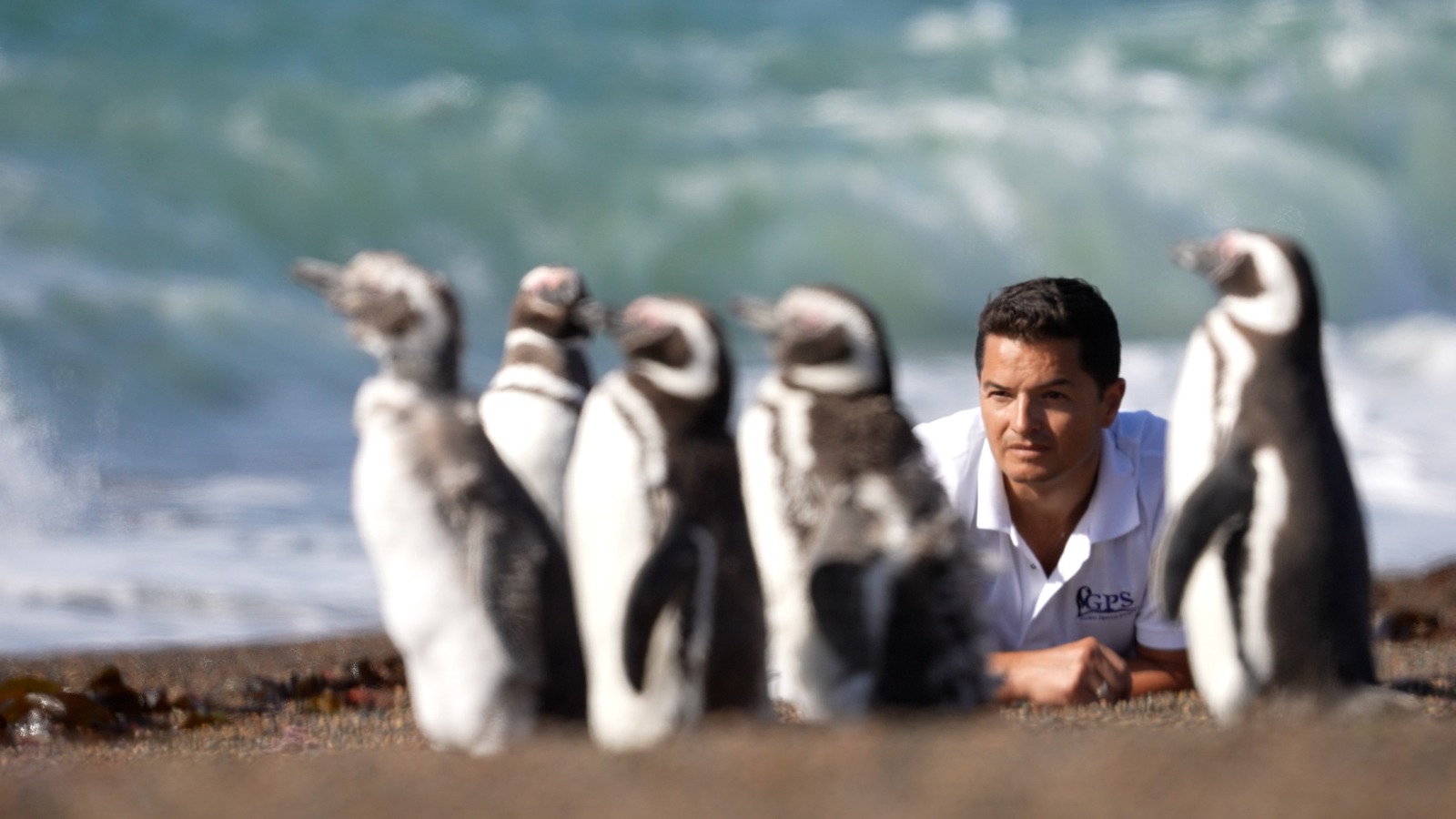 Provincia acompaña el estreno nacional del documental «El Señor de los Pingüinos»