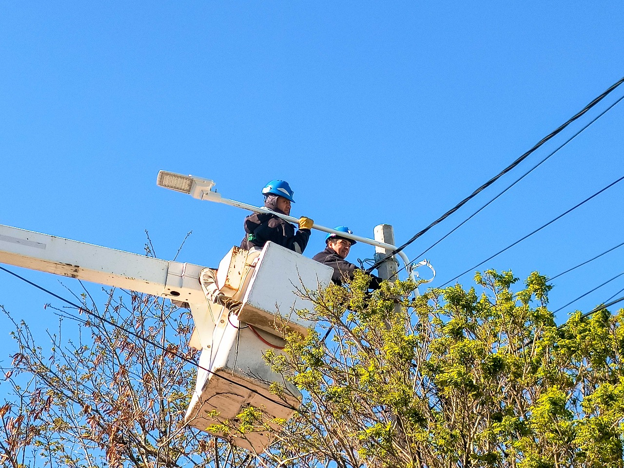 Servicoop avanza con la instalación de más de 1.500 luminarias LED en Puerto Madryn