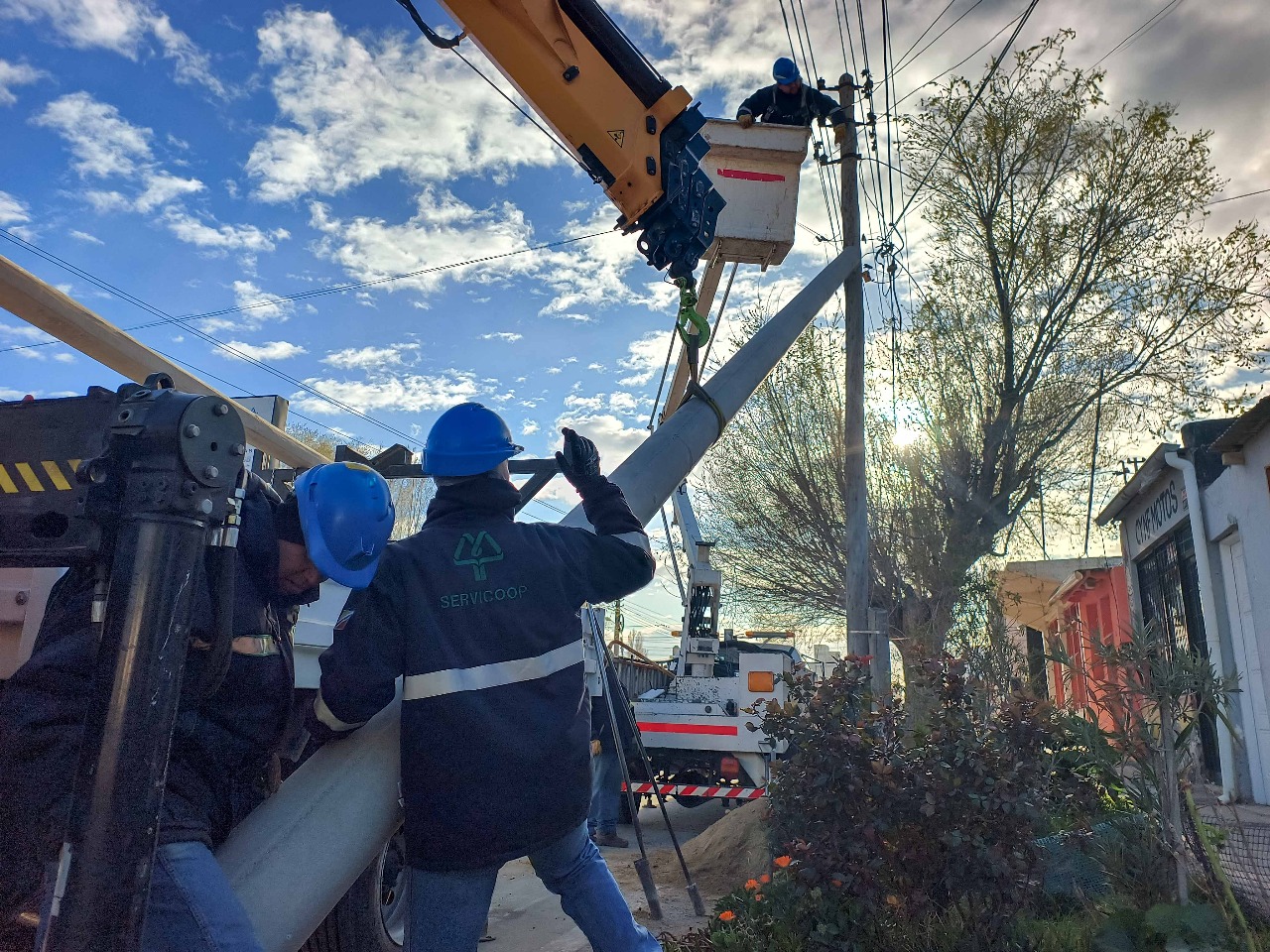 Avanza el recambio de postes por columnas de hormigón en la ciudad