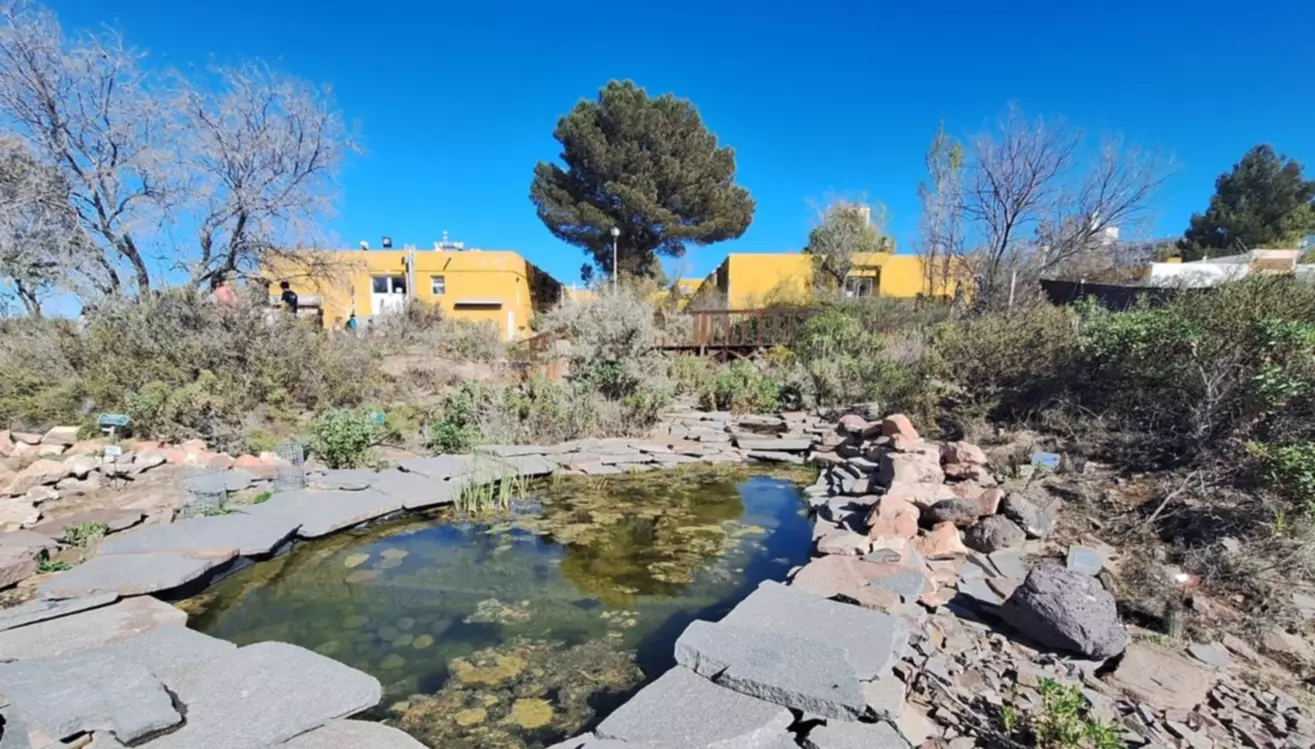 Este viernes abre al público el Jardín Botánico de la Patagónia Extraandina en el Cenpat