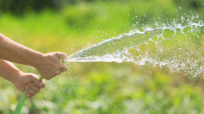 El sábado arranca el horario restringido de riego en Madryn