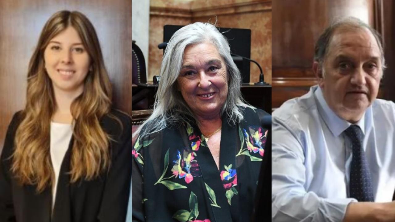 Cómo votaron los chubutenses en el Senado el rechazo a los vetos de Milei