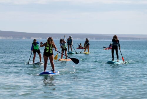 Madryn vivirá una nueva experiencia SUP