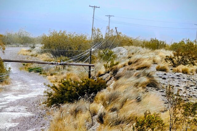 Se registra una gran cantidad de postes caídos en distintos puntos de la ciudad