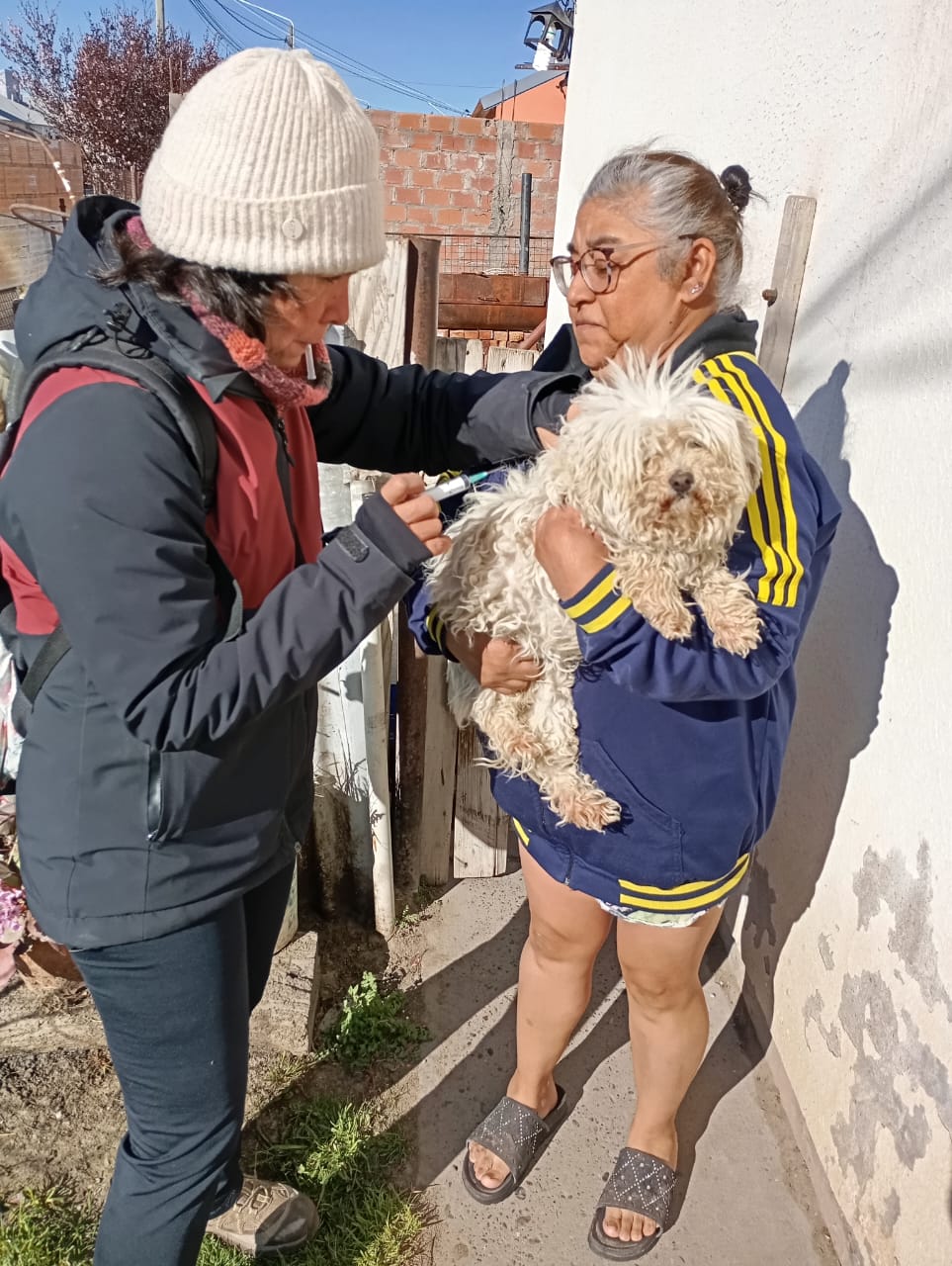 Salud: Provincia refuerza la vigilancia y el monitoreo de la Rabia Animal