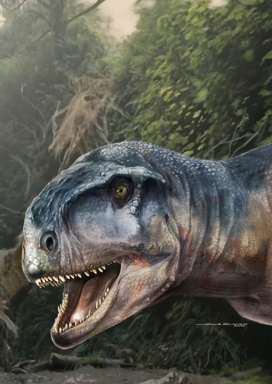 No fue el tamaño: el éxito de los abelisáuridos estuvo en su cráneo