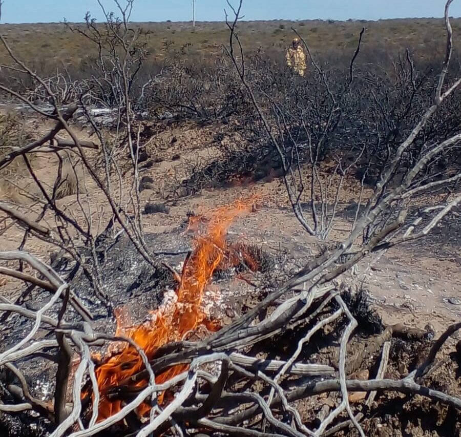 Incendio intencional en Ruta 3: Policía del Chubut detuvo al presunto autor en Arroyo Verde