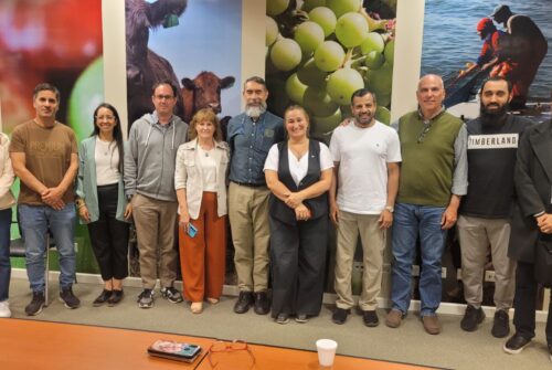 Chubut impulsa nuevas oportunidades para la producción ovina