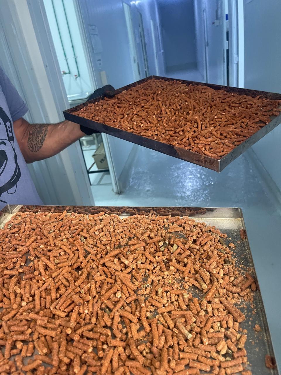 Un proyecto del CENPAT busca transformar cabezas de langostino en alimento para animales