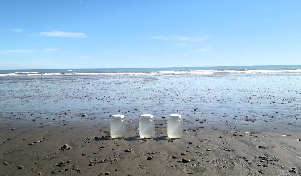 Especialistas del CENPAT analizan la contaminación por microplásticos en el Golfo Nuevo