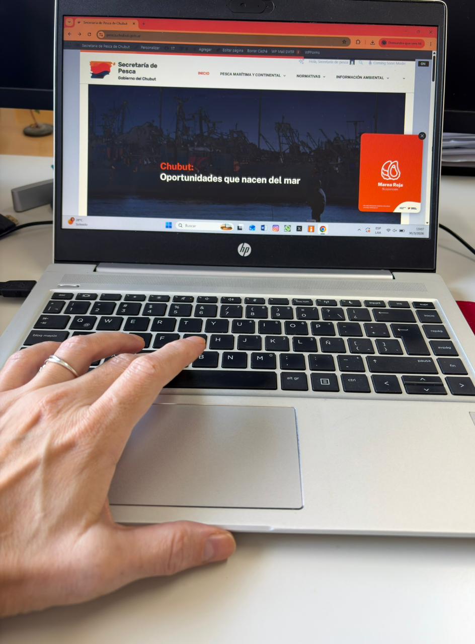 Chubut lanza un sistema pionero de datos abiertos para transparentar la actividad pesquera