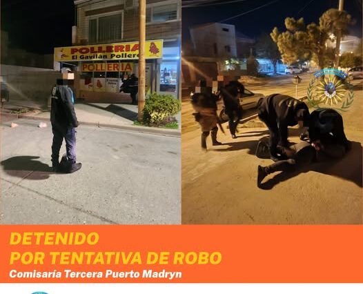 Rompió un vidrio, robó y cayó a los pocos metros