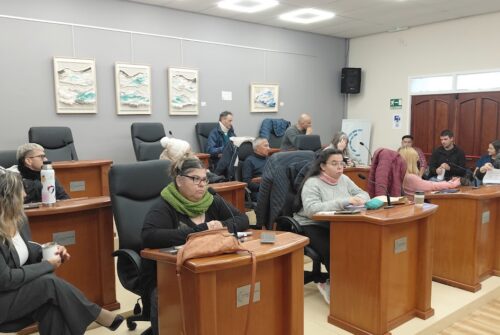 El Consejo Municipal de Discapacidad busca avanzar en accesibilidad e inclusión