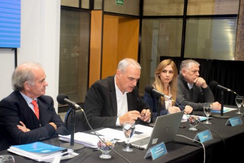 Chubut fue elegida para presidir el Consejo Federal de Medio Ambiente