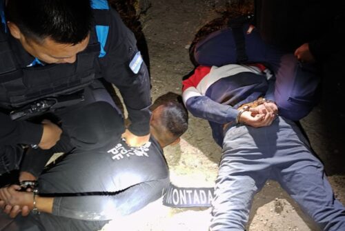 Condenaron a un hombre por abigeato y robo en Península Valdés