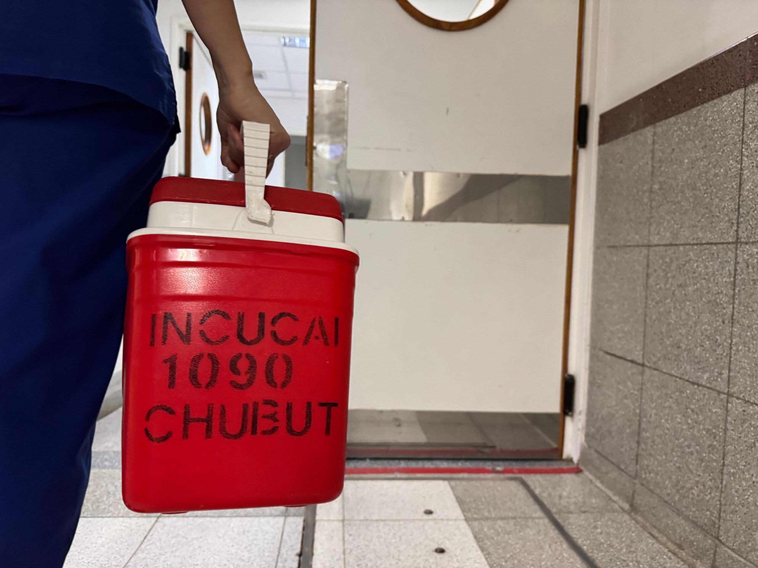 Chubut conmemora el Día Nacional de la Donación de Órganos con actividades y jornadas de concientización