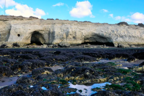 Punta Cuevas: confirman erosión natural y evalúan cambios urbanos