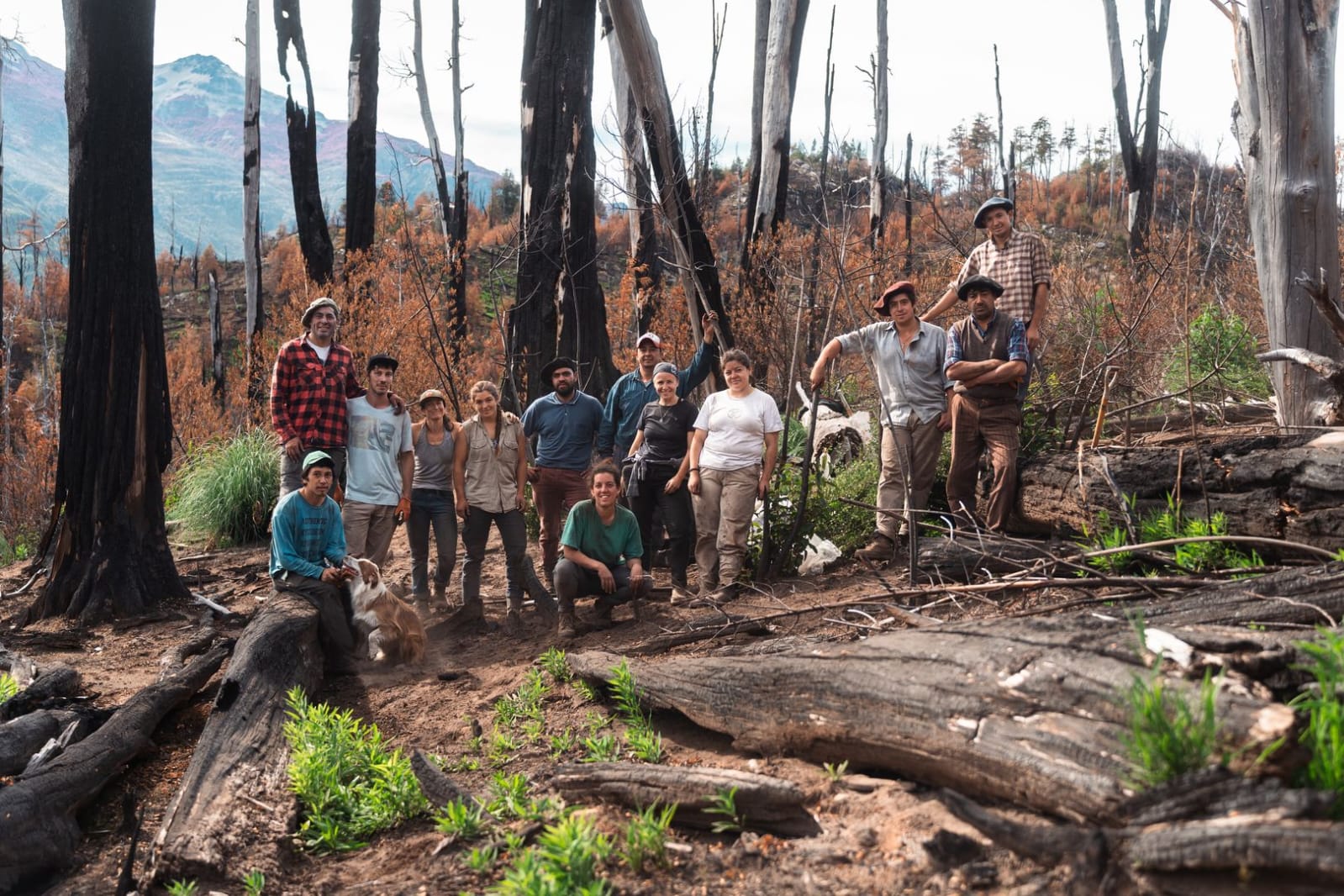 Exitosa campaña de restauración de bosque nativo en Chubut: se plantaron 20.000 árboles en Río Turbio